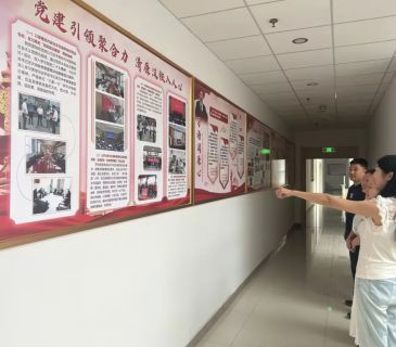 清廉文化长廊：筑梦医道，清风扬帆